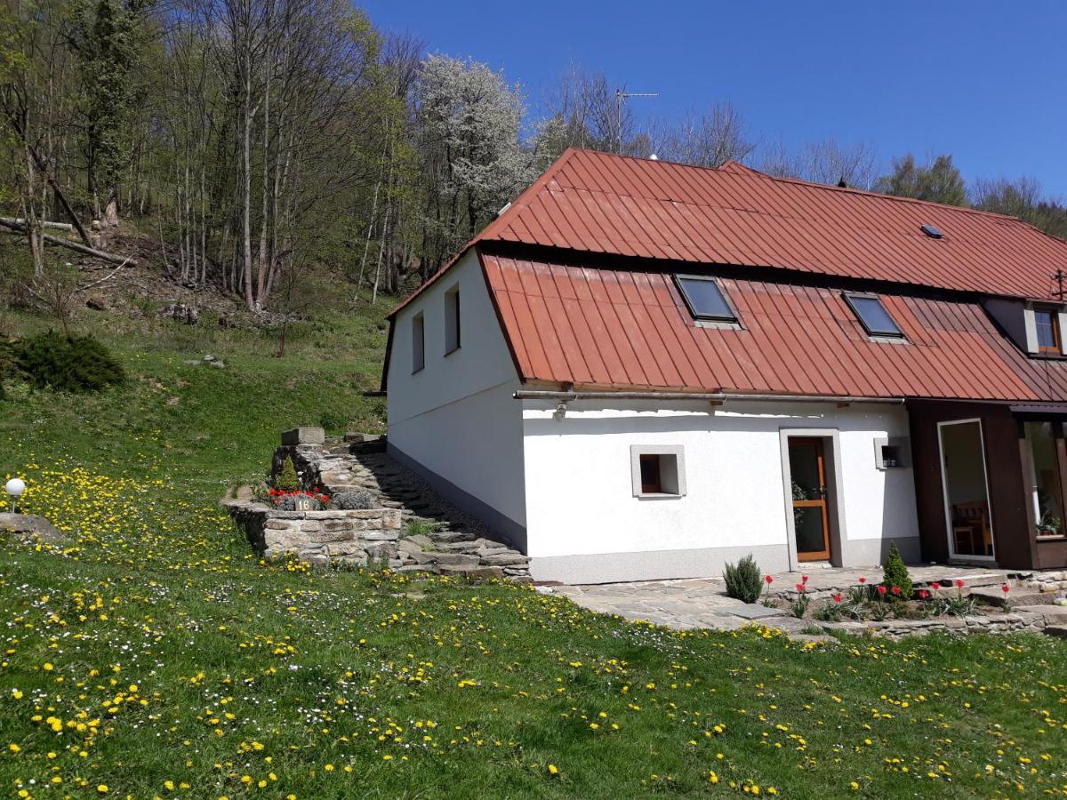 Pokoje Goscinne Thank You Life, Apartament 2 Forest For Rest Bystrzyca Kłodzka Εξωτερικό φωτογραφία