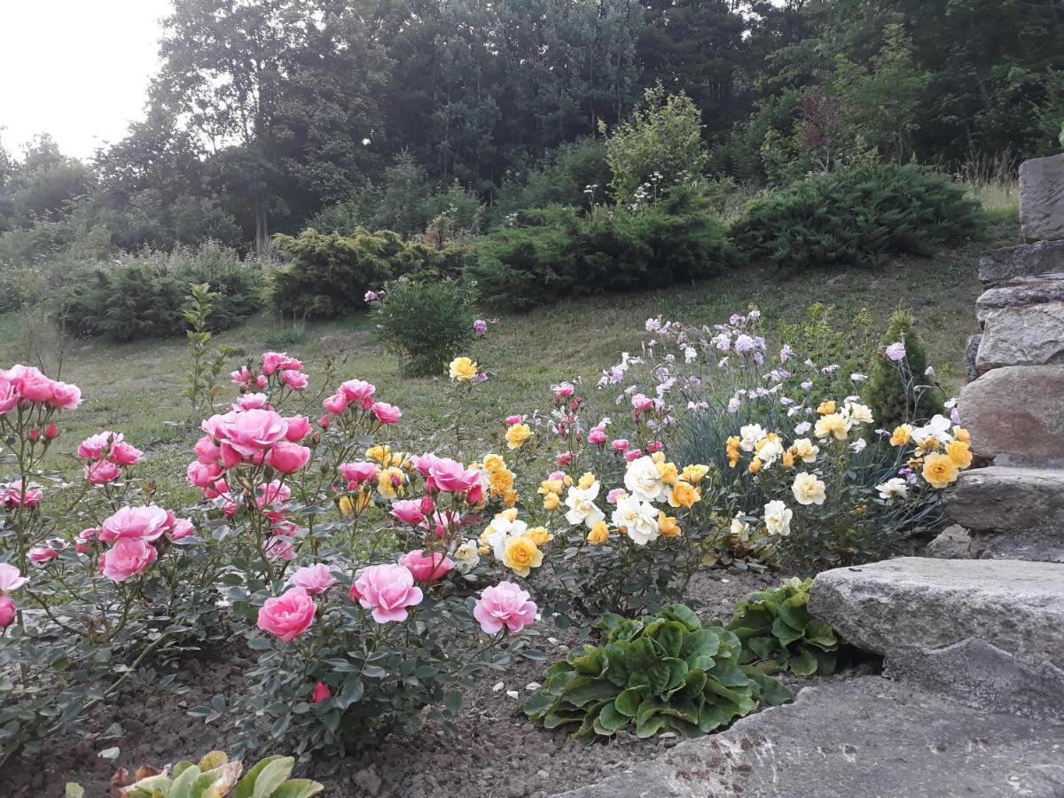 Pokoje Goscinne Thank You Life, Apartament 2 Forest For Rest Bystrzyca Kłodzka Εξωτερικό φωτογραφία